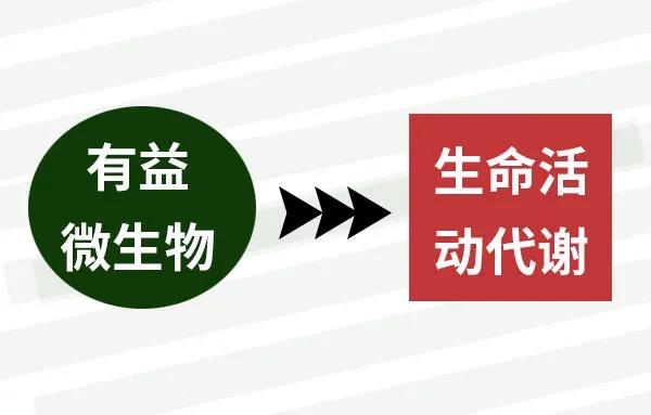 色翁荡息又大又硬又粗又爽
