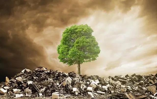 色翁荡息又大又硬又粗又爽