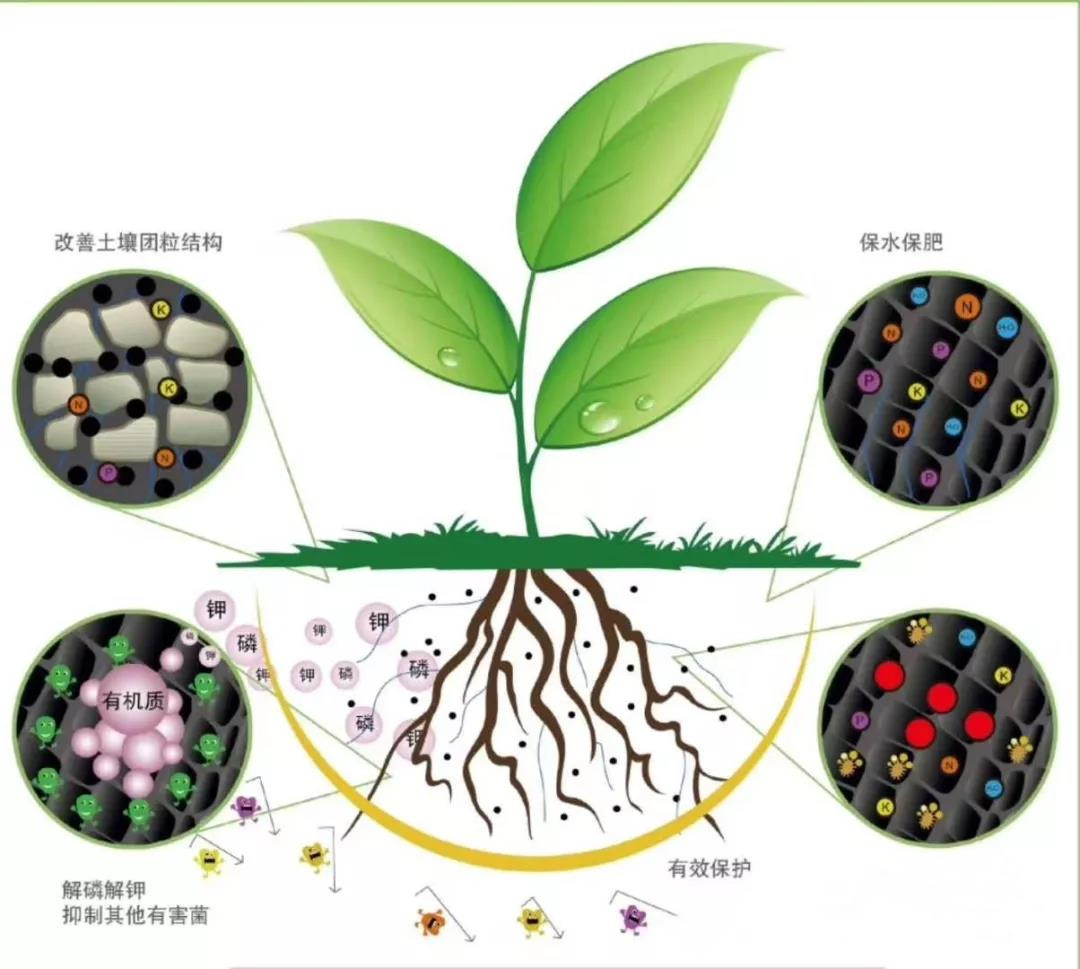 色翁荡息又大又硬又粗又爽