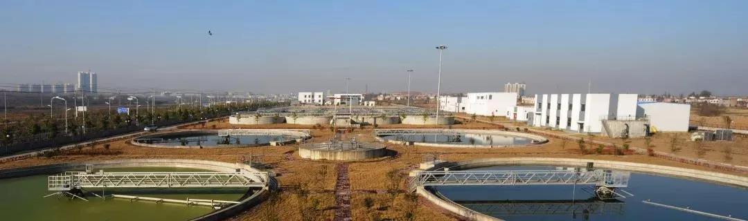 色翁荡息又大又硬又粗又爽