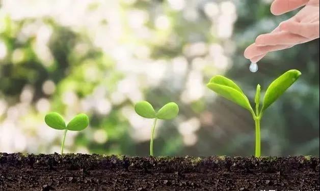 色翁荡息又大又硬又粗又爽