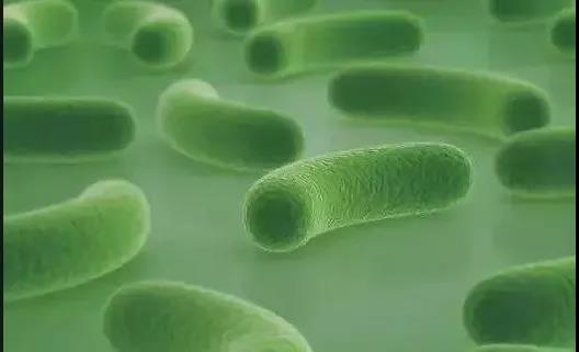 色翁荡息又大又硬又粗又爽