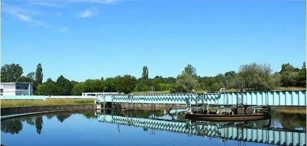 色翁荡息又大又硬又粗又爽