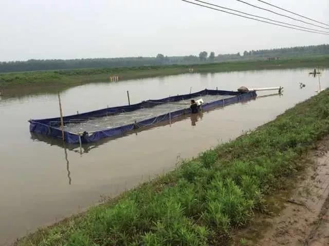 色翁荡息又大又硬又粗又爽