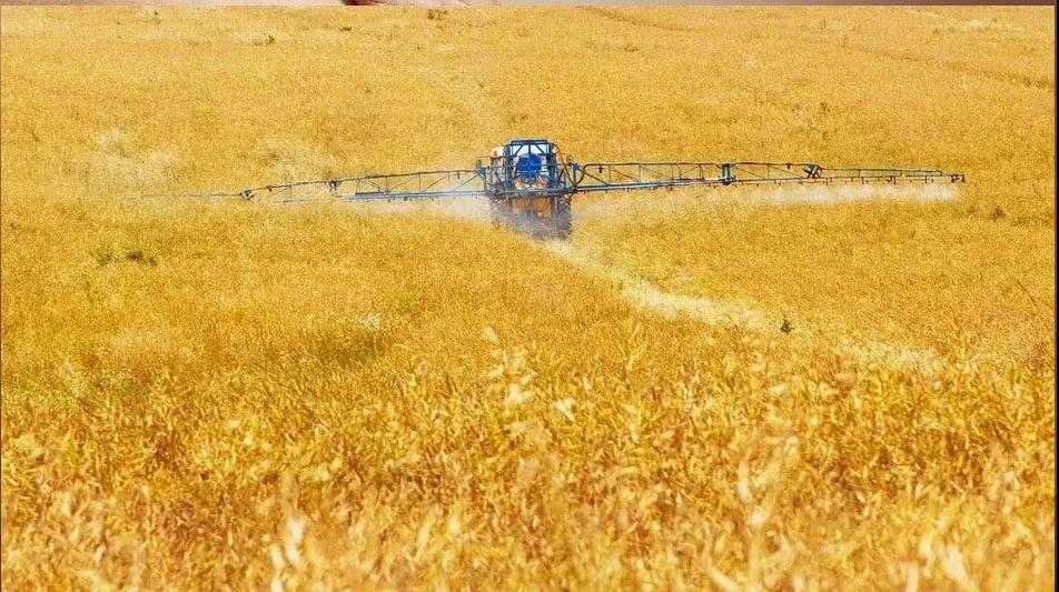 色翁荡息又大又硬又粗又爽