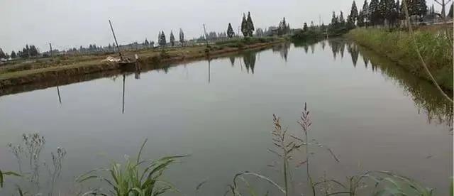 色翁荡息又大又硬又粗又爽