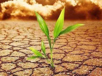 色翁荡息又大又硬又粗又爽