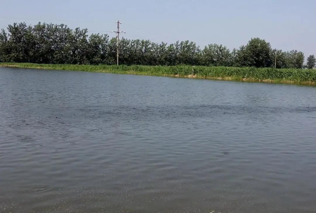 色翁荡息又大又硬又粗又爽