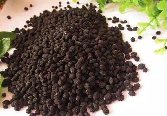 色翁荡息又大又硬又粗又爽