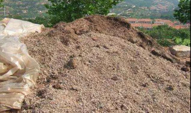 色翁荡息又大又硬又粗又爽