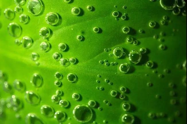 色翁荡息又大又硬又粗又爽