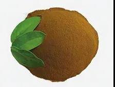 色翁荡息又大又硬又粗又爽