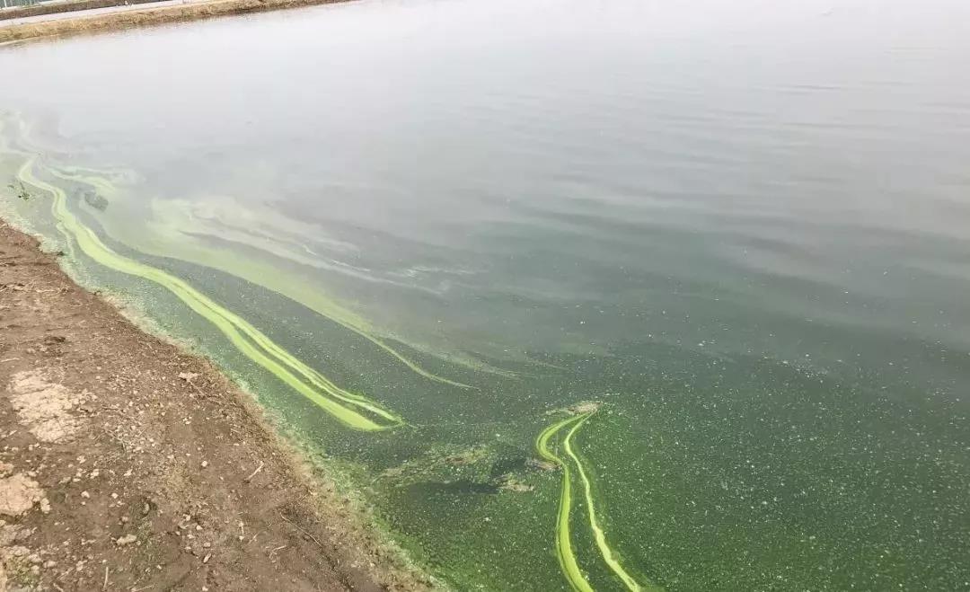 色翁荡息又大又硬又粗又爽