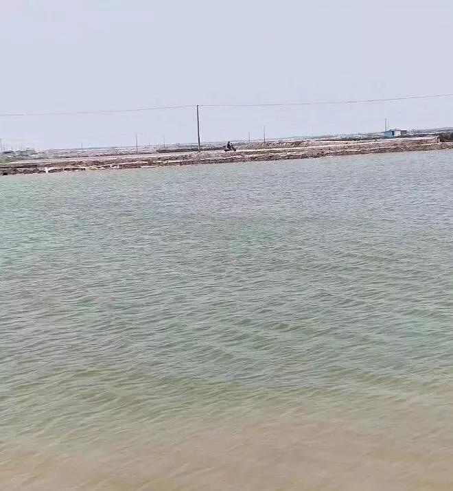 色翁荡息又大又硬又粗又爽