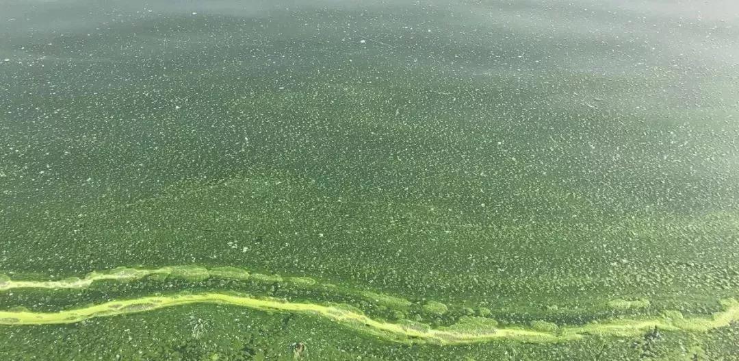 色翁荡息又大又硬又粗又爽