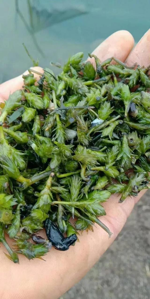 色翁荡息又大又硬又粗又爽