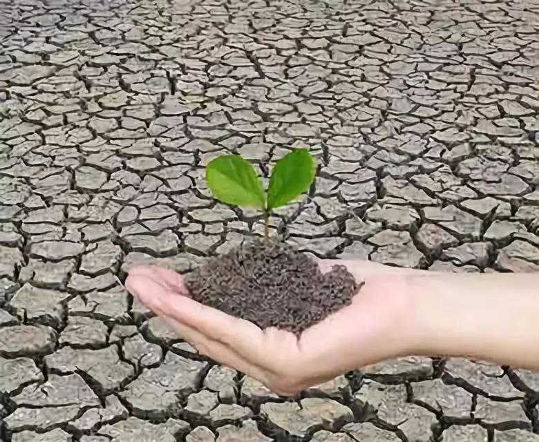 色翁荡息又大又硬又粗又爽