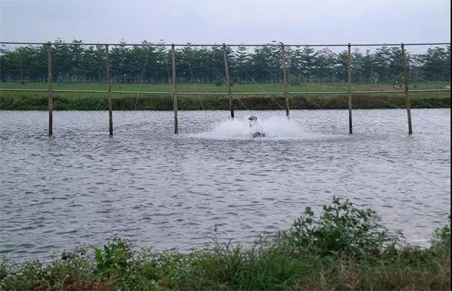 色翁荡息又大又硬又粗又爽