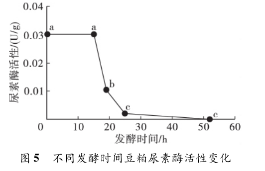 色翁荡息又大又硬又粗又爽