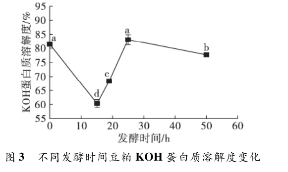 色翁荡息又大又硬又粗又爽