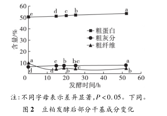 色翁荡息又大又硬又粗又爽