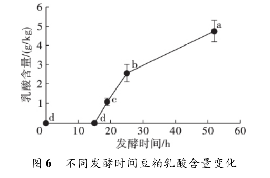 色翁荡息又大又硬又粗又爽