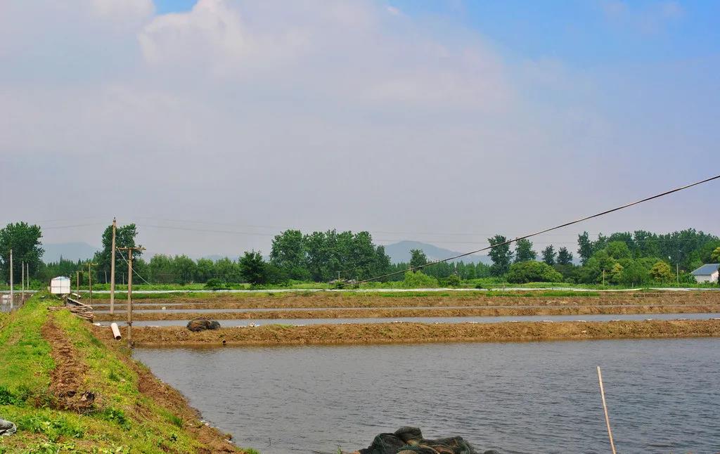 色翁荡息又大又硬又粗又爽