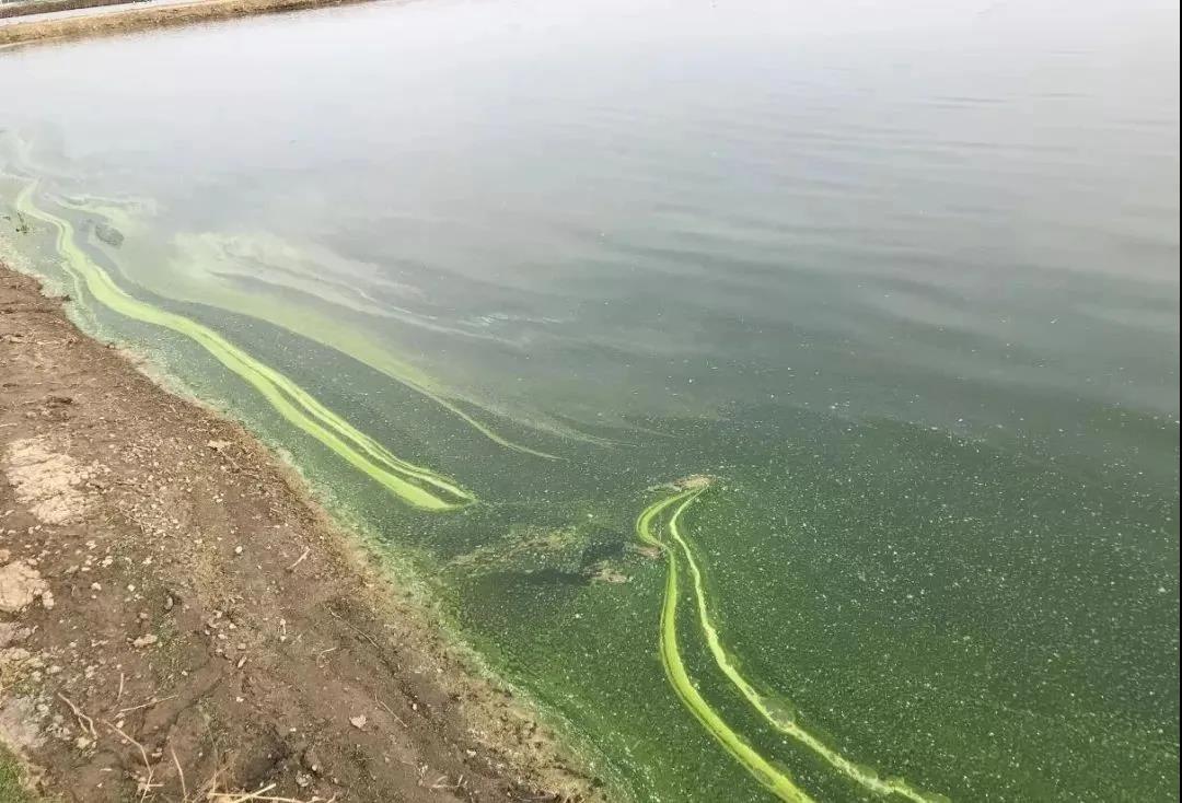 色翁荡息又大又硬又粗又爽