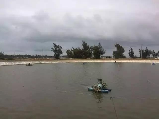 色翁荡息又大又硬又粗又爽