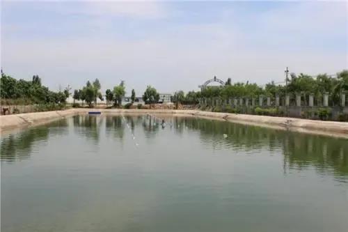 色翁荡息又大又硬又粗又爽