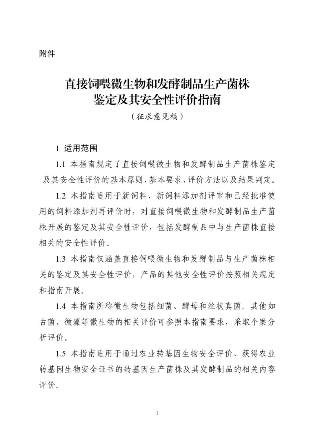 色翁荡息又大又硬又粗又爽