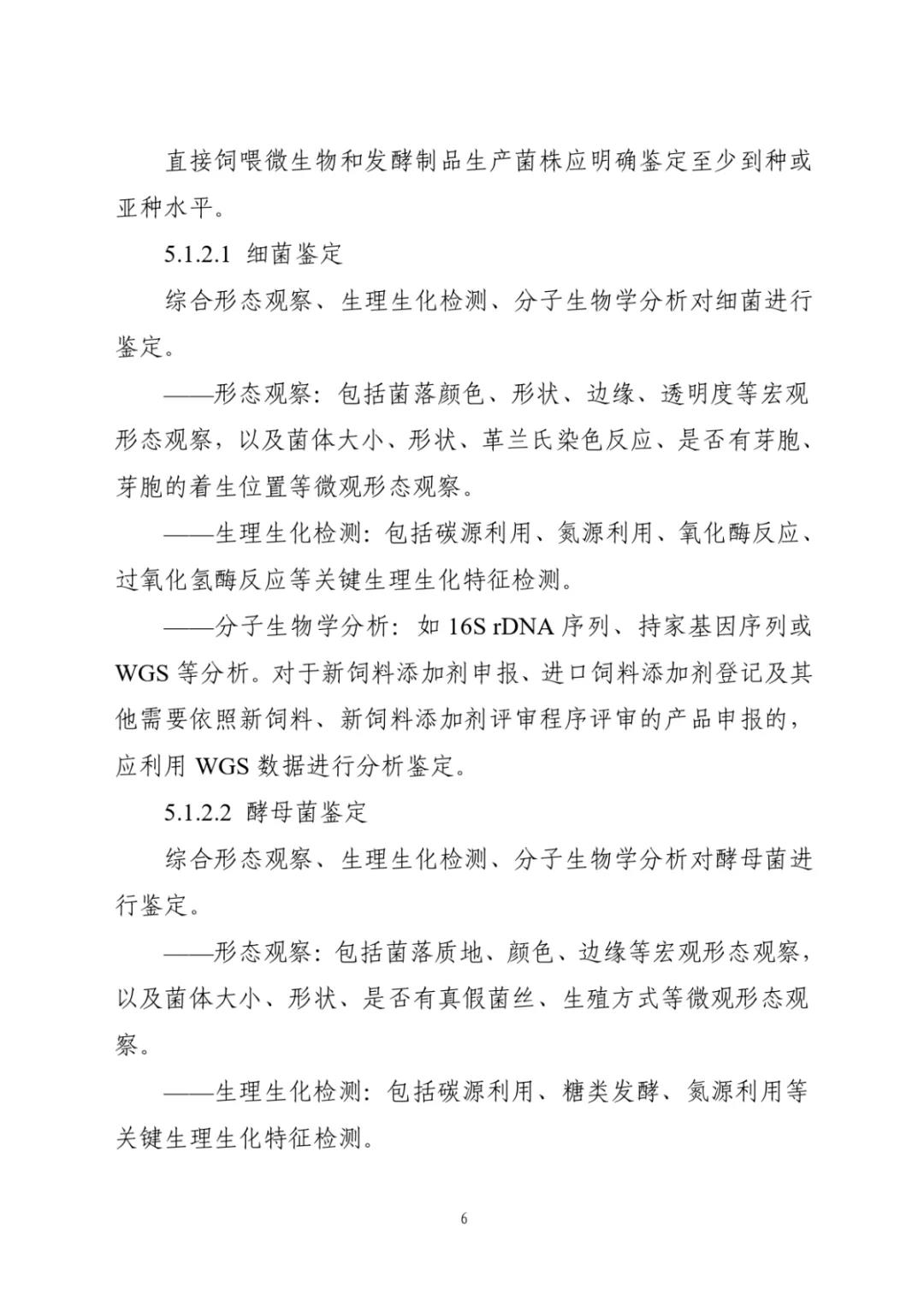 色翁荡息又大又硬又粗又爽