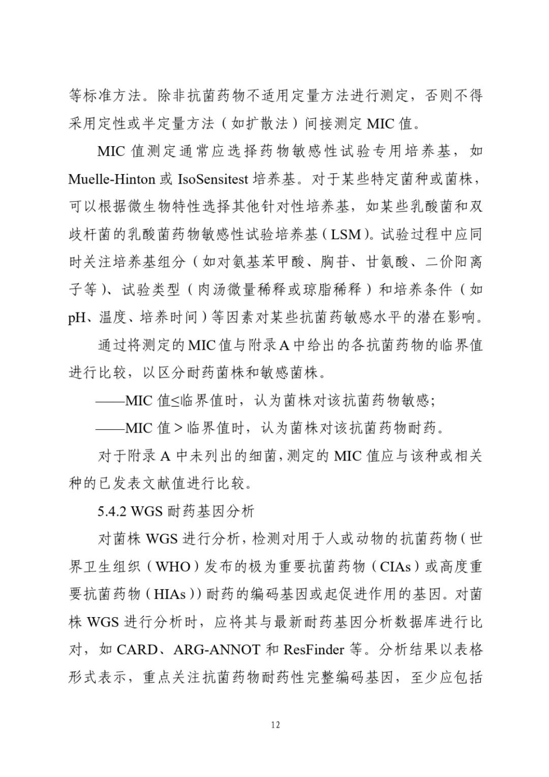 色翁荡息又大又硬又粗又爽