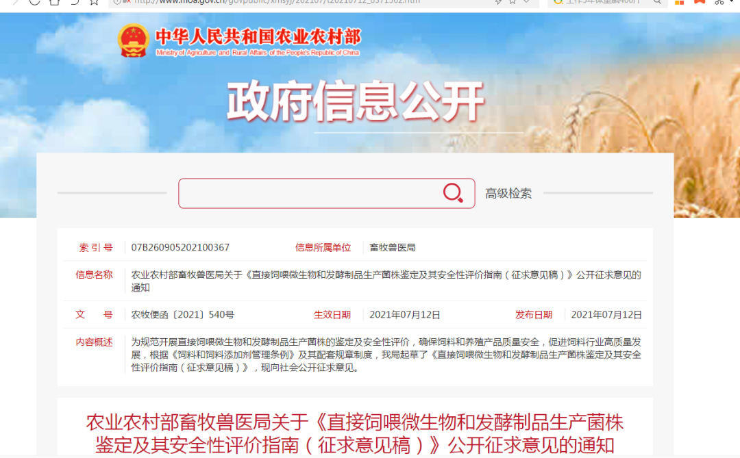 色翁荡息又大又硬又粗又爽