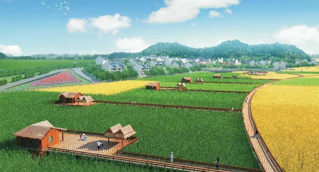 色翁荡息又大又硬又粗又爽