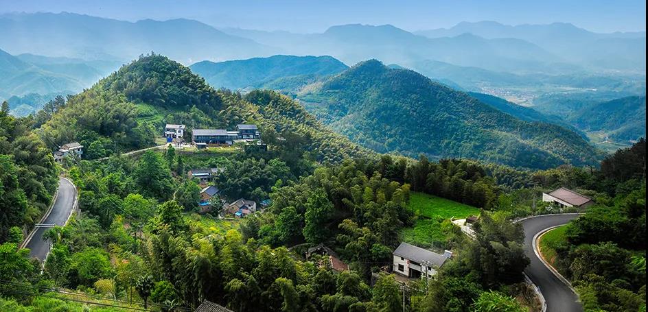 色翁荡息又大又硬又粗又爽