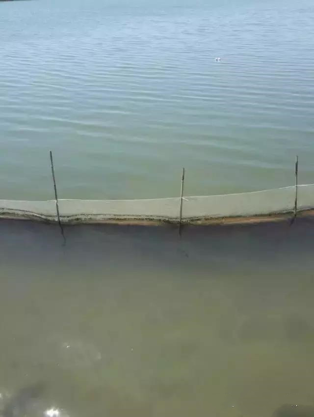 色翁荡息又大又硬又粗又爽