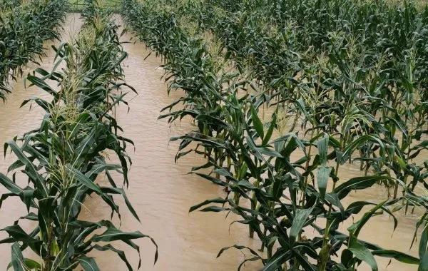 色翁荡息又大又硬又粗又爽