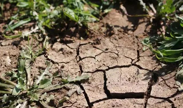 色翁荡息又大又硬又粗又爽