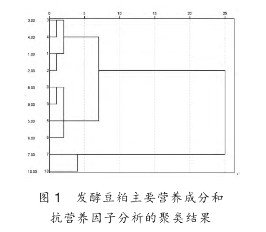 色翁荡息又大又硬又粗又爽
