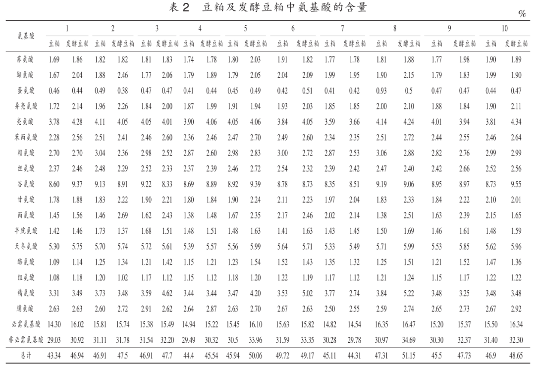 色翁荡息又大又硬又粗又爽