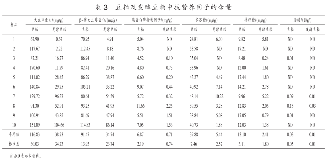 色翁荡息又大又硬又粗又爽