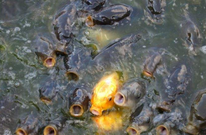 色翁荡息又大又硬又粗又爽