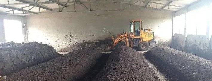 色翁荡息又大又硬又粗又爽