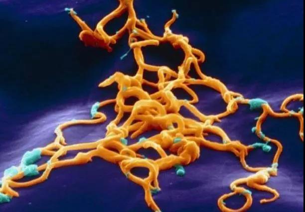 色翁荡息又大又硬又粗又爽