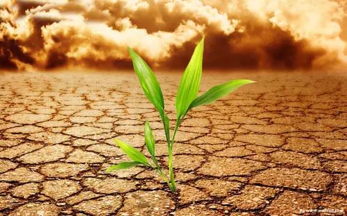 色翁荡息又大又硬又粗又爽