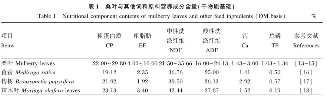 色翁荡息又大又硬又粗又爽