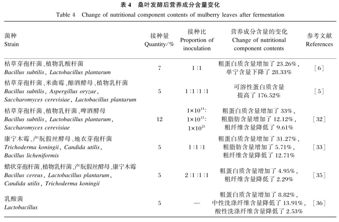 色翁荡息又大又硬又粗又爽