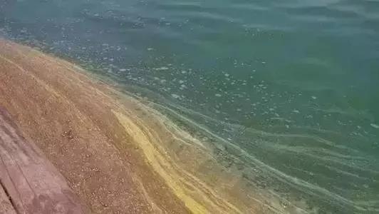 色翁荡息又大又硬又粗又爽