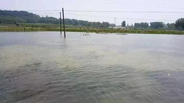 色翁荡息又大又硬又粗又爽